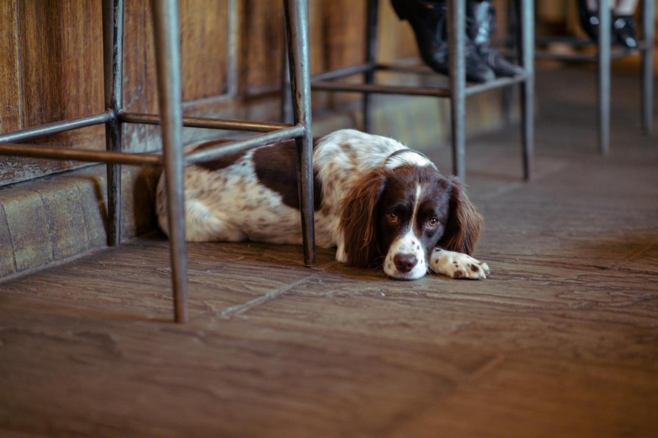 The Rising Sun Inn West Bagborough Bagian luar foto